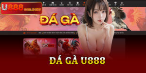 Đá Gà U888