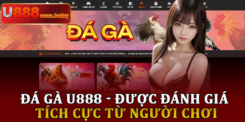 Đá Gà U888 - Được Đánh Giá Tích Cực Từ Người Chơi