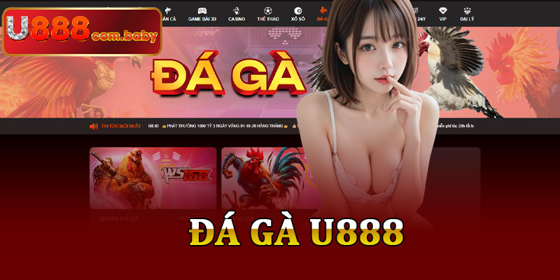 Đá Gà U888